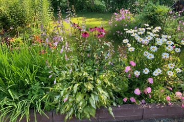 Jardinage & Entretien Extérieur